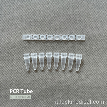 PCR in plastica usa e getta a 8 tubi PCR